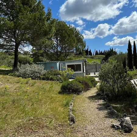 Chambre Tropicale Au Domaine De L'Aven Villeneuve-Minervois Eksteriør bilde